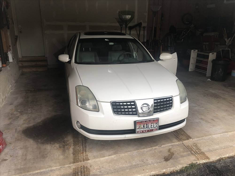 Queens County that buy cars